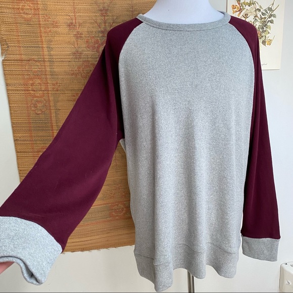 J. Peterman Suede Elbow Patch Rugby Raglan Sweatshirt - Picture 4 of 14